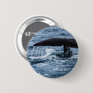 Chapa Redonda De 5 Cm Sperm Whale
