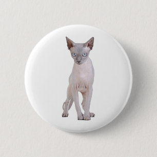 Chapa Redonda De 5 Cm Sphynx cat