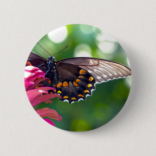 Chapa Redonda De 5 Cm Spicebush Swallowtail