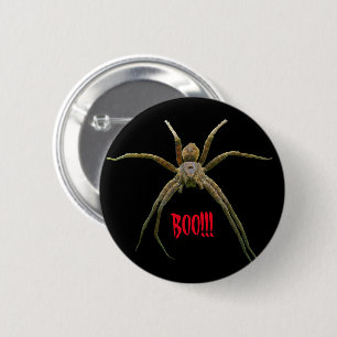 Chapa Redonda De 5 Cm Spider
