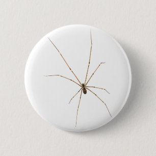 Chapa Redonda De 5 Cm Spider