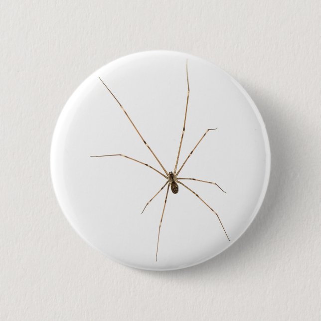 Chapa Redonda De 5 Cm Spider (Anverso)