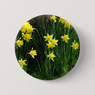 Chapa Redonda De 5 Cm Spring Daffodils