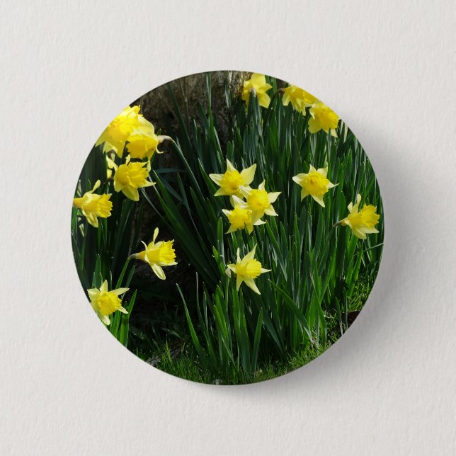 Chapa Redonda De 5 Cm Spring Daffodils (Anverso)