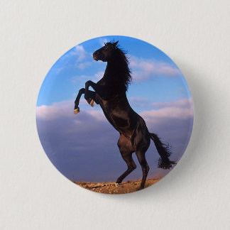 Chapa Redonda De 5 Cm Stallion negro