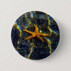 Chapa Redonda De 5 Cm Starfish Pinback