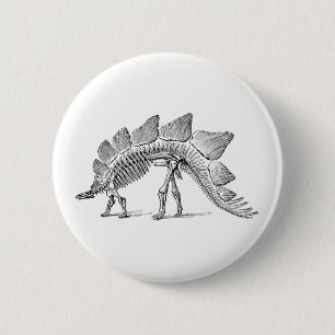 Chapa Redonda De 5 Cm Stegosaurus Dinosaur Skeleton Fossil