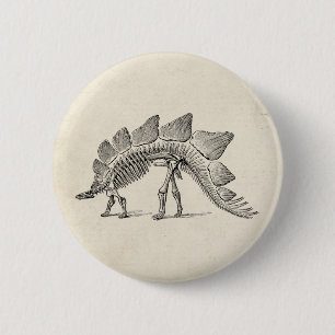 Chapa Redonda De 5 Cm Stegosaurus Dinosaur Skeleton Fossil