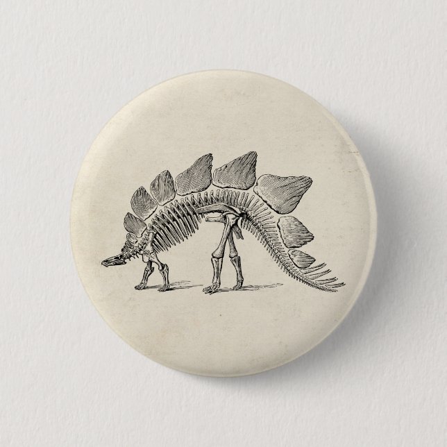 Chapa Redonda De 5 Cm Stegosaurus Dinosaur Skeleton Fossil (Anverso)