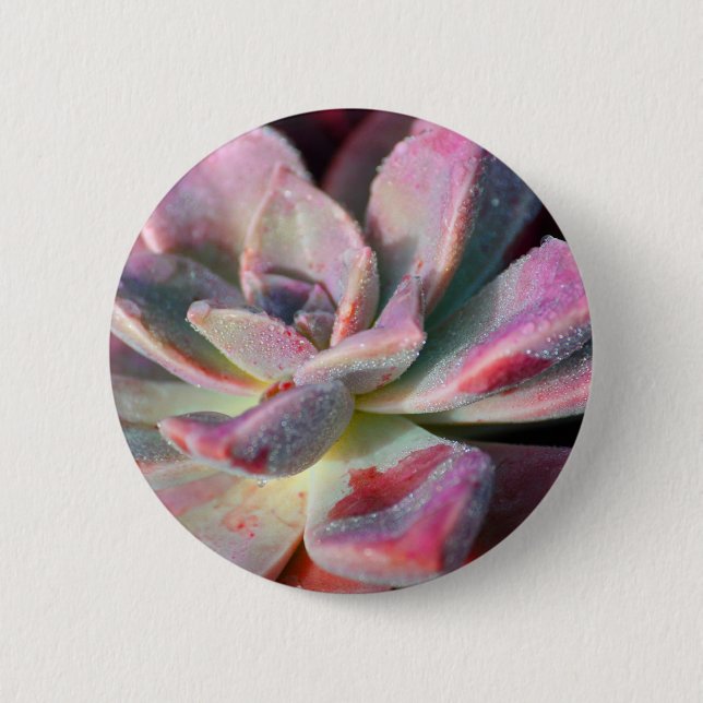 Chapa Redonda De 5 Cm Succulent rosado (Anverso)