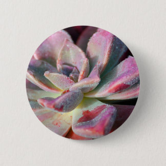 Chapa Redonda De 5 Cm Succulent rosado