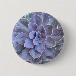 Chapa Redonda De 5 Cm Suculentos de Echeveria Púrpura