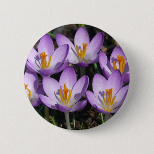 Chapa Redonda De 5 Cm Sunny Purple Crocuses