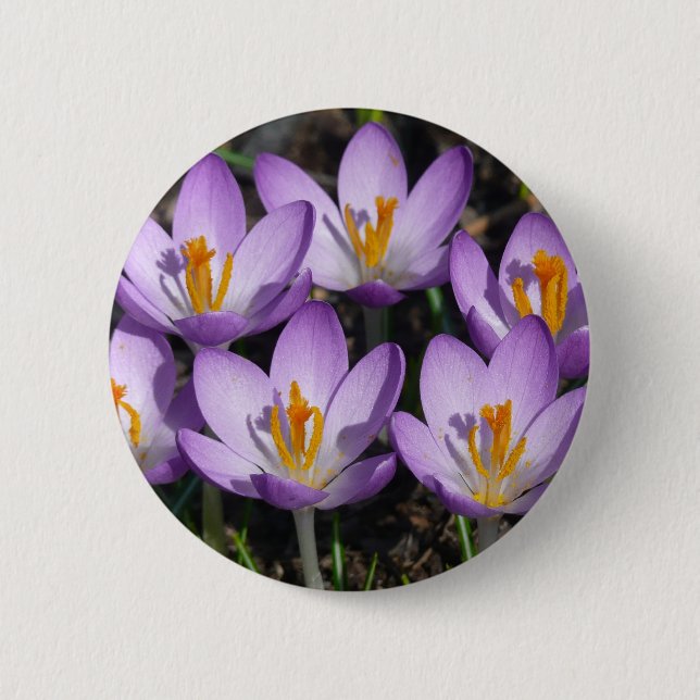 Chapa Redonda De 5 Cm Sunny Purple Crocuses (Anverso)