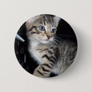 Chapa Redonda De 5 Cm "Susurros de problemas: el gatito travieso