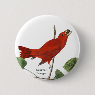Chapa Redonda De 5 Cm Tanager de verano, pájaro rojo auduónico, pájaro m
