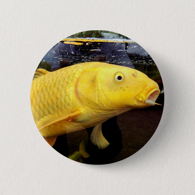 Chapa Redonda De 5 Cm Tarjeta Koi Carp (Anverso)