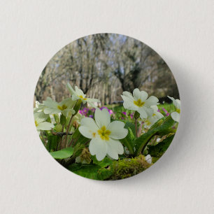 Chapa Redonda De 5 Cm Tarjeta Primrose (Primula vulgaris)