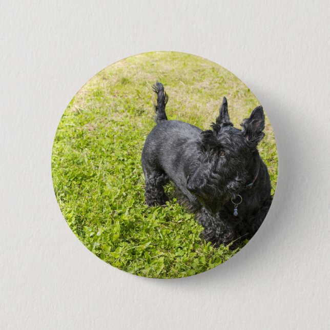 Chapa Redonda De 5 Cm Terrier escocés (Anverso)
