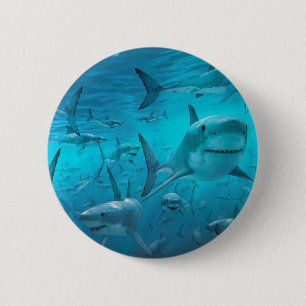 Chapa Redonda De 5 Cm Tiburones