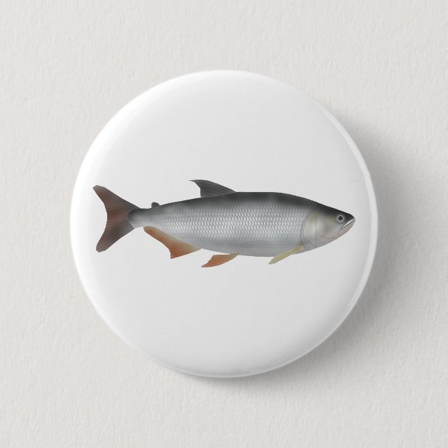 Chapa Redonda De 5 Cm Tiete tetra (Anverso)