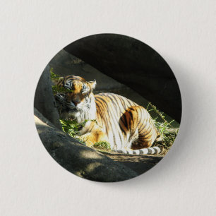 Chapa Redonda De 5 Cm Tiger Catnap
