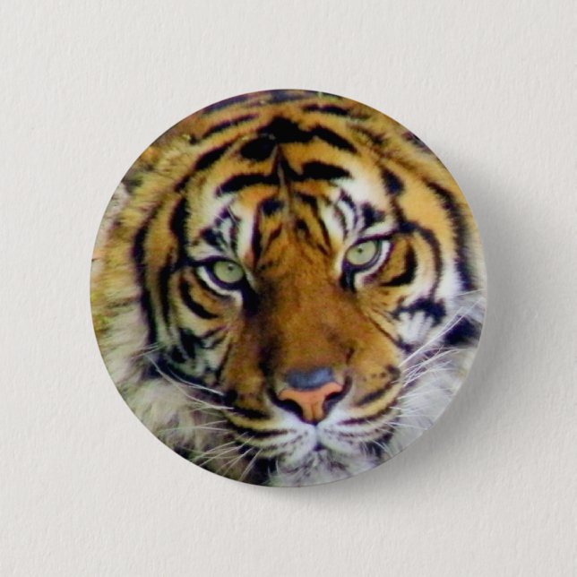 Chapa Redonda De 5 Cm Tigre_ (Anverso)
