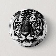 Tigre blanco y negro