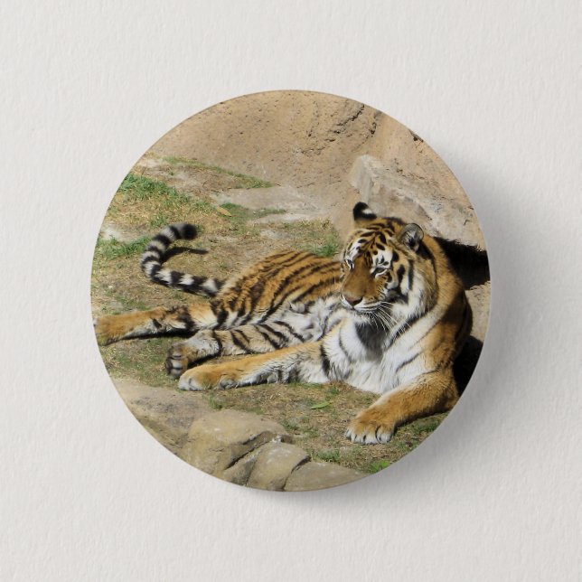 Chapa Redonda De 5 Cm Tigre durmiente (Anverso)