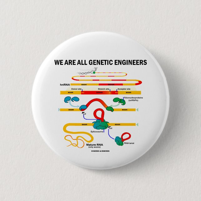 Chapa Redonda De 5 Cm Todos Somos Ingenieros Genéticos (RNA Splicing) (Anverso)