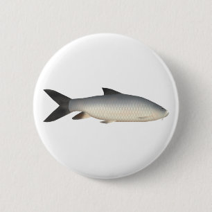 Chapa Redonda De 5 Cm Tor Mahseer