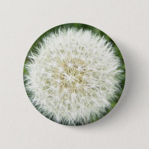 Chapa Redonda De 5 Cm toro de soplo