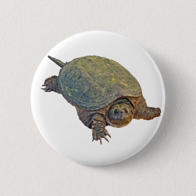 Chapa Redonda De 5 Cm Tortuga común para picar - Chelydra serpentina (Anverso)
