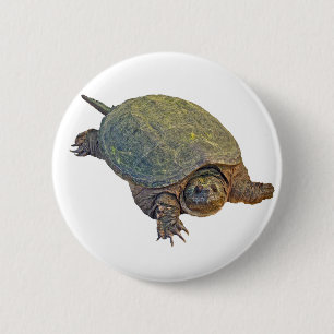 Chapa Redonda De 5 Cm Tortuga común para picar - Chelydra serpentina