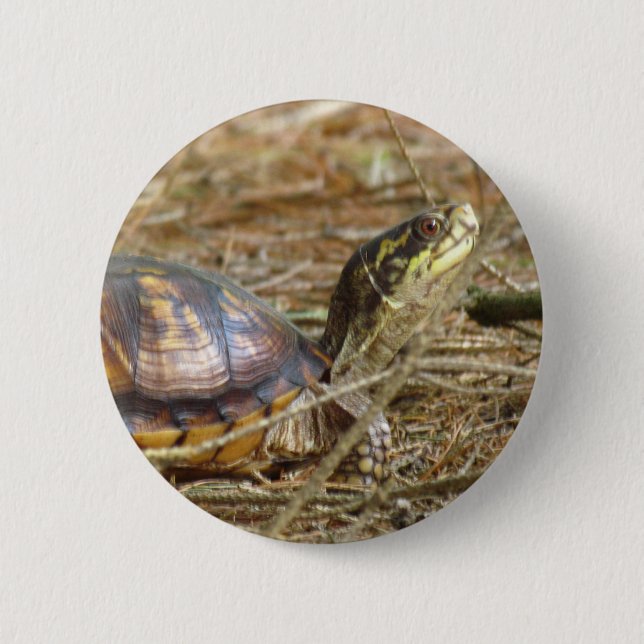 Chapa Redonda De 5 Cm Tortuga - Cuello fuera (Anverso)