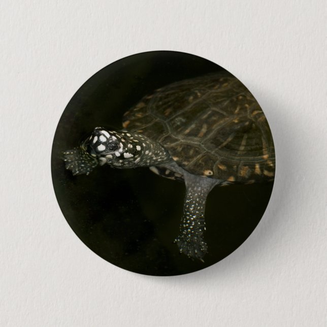Chapa Redonda De 5 Cm Tortuga de baño (Anverso)