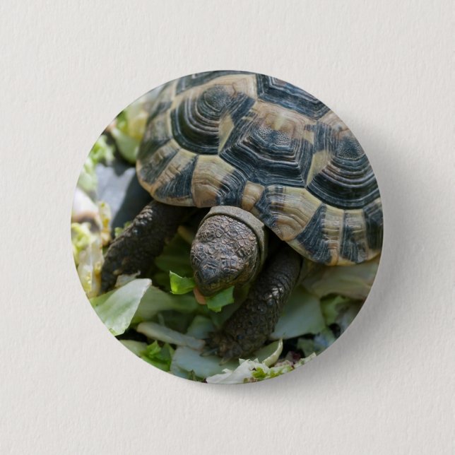 Chapa Redonda De 5 Cm Tortuga linda (Anverso)