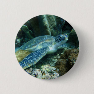 Chapa Redonda De 5 Cm Tortuga marina en foto