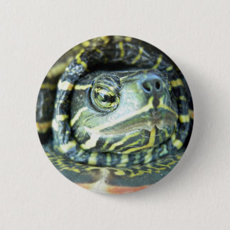 Chapa Redonda De 5 Cm Tortuga pintada (Chrysemys picta) 2