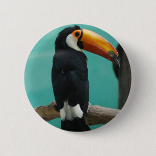 Chapa Redonda De 5 Cm Toucan