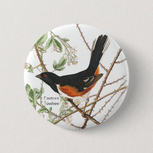 Chapa Redonda De 5 Cm Towhee oriental, Audubon, pájaro mirador de aves r