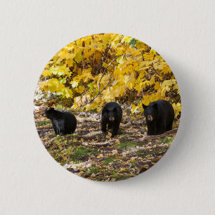 Chapa Redonda De 5 Cm Tres Baños