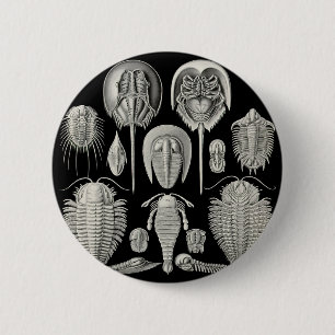 Chapa Redonda De 5 Cm ¡Trilobite!