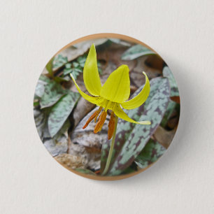 Chapa Redonda De 5 Cm Trout Lily Wildflower - Erythronium americanum