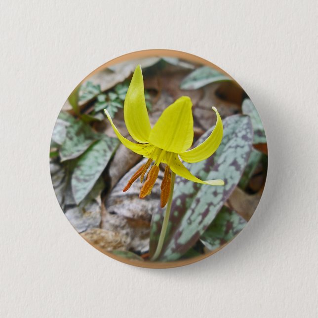 Chapa Redonda De 5 Cm Trout Lily Wildflower - Erythronium americanum (Anverso)