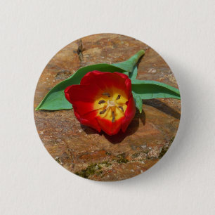 Chapa Redonda De 5 Cm Tulip rojo primavera