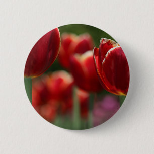 Chapa Redonda De 5 Cm Tulipanos