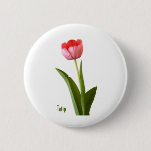 Chapa Redonda De 5 Cm Una fotografía floral del tulipán rosado de la