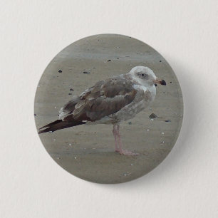 Chapa Redonda De 5 Cm Una gaviota única se para sola en el mar de arena