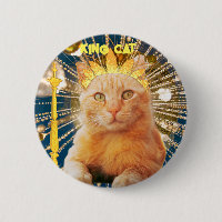 Una mascota divertida de gato marrón ama la moda d